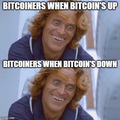 BITCOINERS WHEN BITCOIN'S UP; BITCOINERS WHEN BITCOIN'S DOWN | image tagged in bitcoin | made w/ Imgflip meme maker