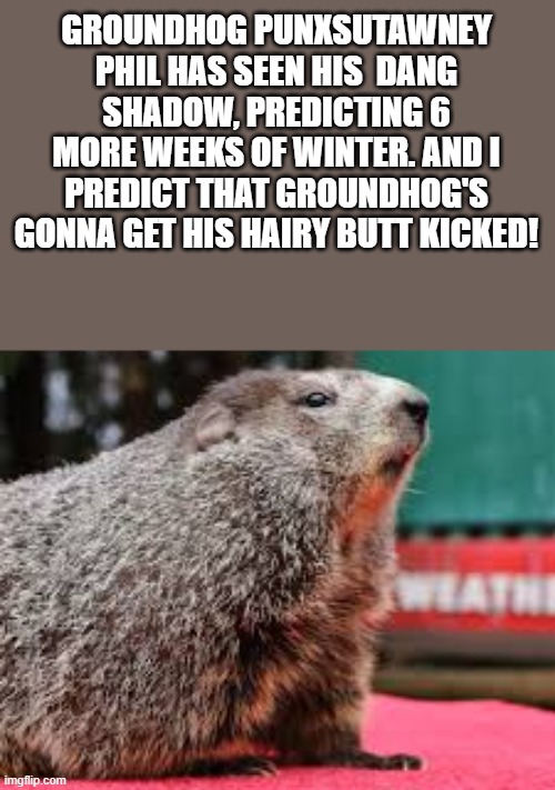 Groundhog Punxsutawney Phil Predicts 6 More Weeks Of Winter | GROUNDHOG PUNXSUTAWNEY PHIL HAS SEEN HIS  DANG SHADOW, PREDICTING 6 MORE WEEKS OF WINTER. AND I PREDICT THAT GROUNDHOG'S GONNA GET HIS HAIRY BUTT KICKED! | image tagged in groundhog day,groundhog,groundhog shadow,winter,funny,memes | made w/ Imgflip meme maker
