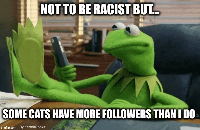 KermitRocks | image tagged in memes,funny memes | made w/ Imgflip meme maker