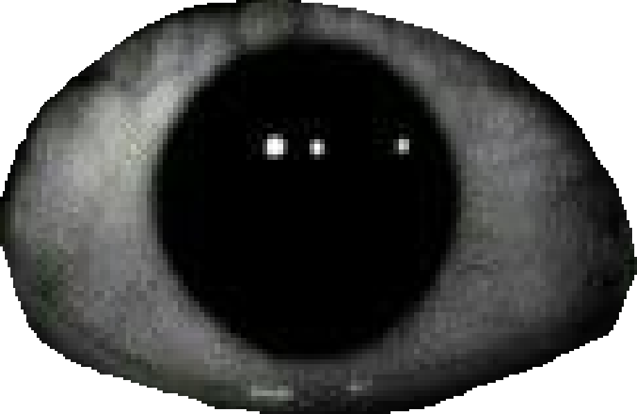 Creepy eye Meme Template
