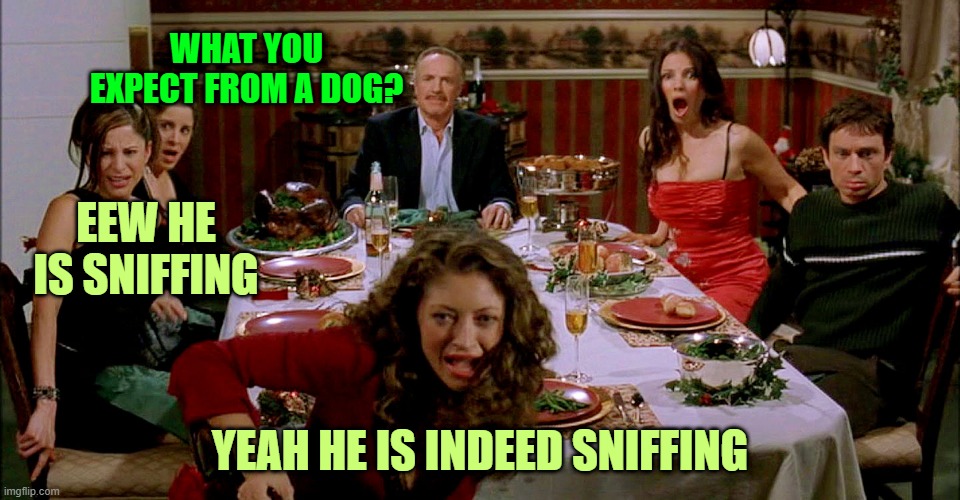 Santa slay family | WHAT YOU EXPECT FROM A DOG? EEW HE IS SNIFFING; YEAH HE IS INDEED SNIFFING | image tagged in santa slay family | made w/ Imgflip meme maker