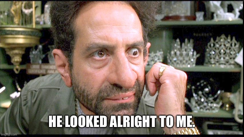 He looked alright to me | HE LOOKED ALRIGHT TO ME. | image tagged in jeebs looks alright to me | made w/ Imgflip meme maker