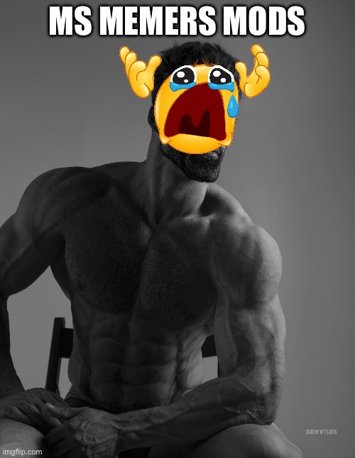 Giga Chad | MS MEMERS MODS | image tagged in giga chad | made w/ Imgflip meme maker