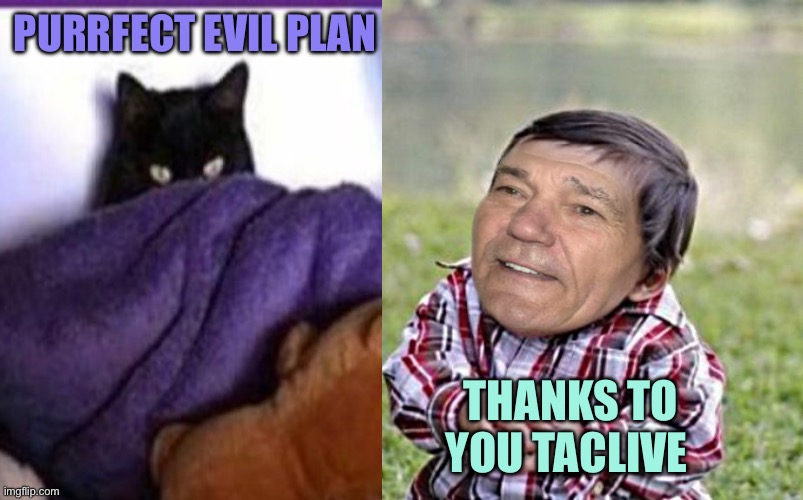 evil-kewlew-toddler | PURRFECT EVIL PLAN THANKS TO YOU TACLIVE | image tagged in evil-kewlew-toddler | made w/ Imgflip meme maker