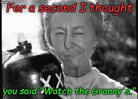 Granny Clampett | Fer a second I thought you said "Watch the Granny's." | image tagged in granny clampett | made w/ Imgflip meme maker