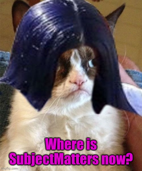 Grumpy doMima (flipped) | Where is SubjectMatters now? | image tagged in grumpy domima flipped | made w/ Imgflip meme maker