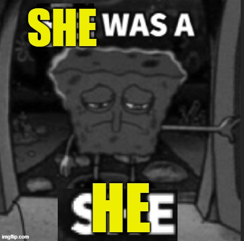 SHE WAS A HE | SHE; HE | image tagged in he was a she | made w/ Imgflip meme maker