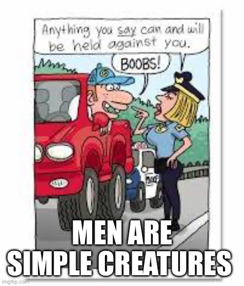 Men | MEN ARE SIMPLE CREATURES | image tagged in funny,funny memes,memes,meme,lmao,relatable memes | made w/ Imgflip meme maker