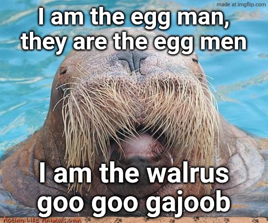 Walrus | I am the egg man, they are the egg men; I am the walrus
goo goo gajoob | image tagged in walrus | made w/ Imgflip meme maker