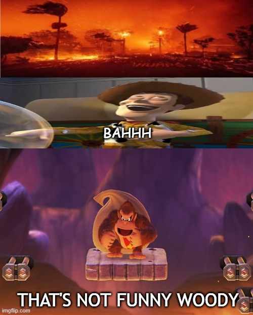 donkey kong hates woody mocking fires | BAHHH; THAT'S NOT FUNNY WOODY | image tagged in who hates woody mocking fires,donkey kong,video games,nintendo,dk,toy story | made w/ Imgflip meme maker