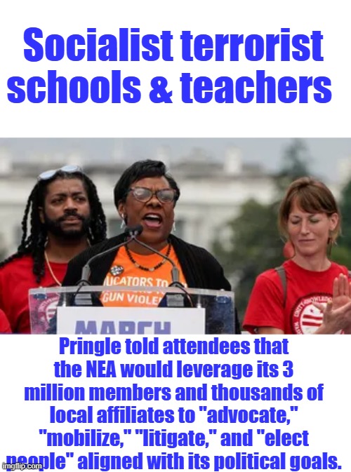 Schools are for education, not to turn kids into political activist. Maybe schools should go back to teaching. | Socialist terrorist schools & teachers; Pringle told attendees that the NEA would leverage its 3 million members and thousands of local affiliates to "advocate," "mobilize," "litigate," and "elect people" aligned with its political goals. | made w/ Imgflip meme maker