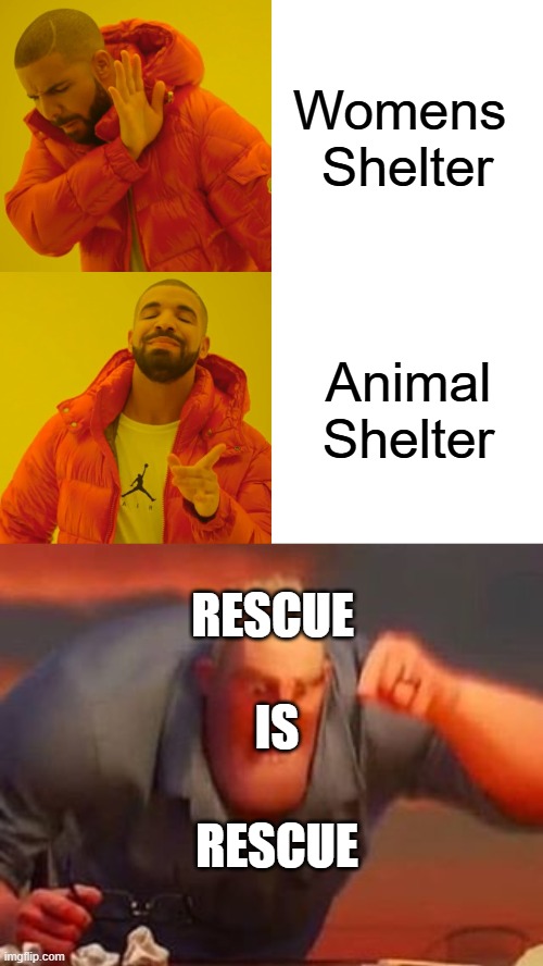 Womens 
Shelter; Animal
Shelter; RESCUE; IS; RESCUE | image tagged in memes,drake hotline bling,mr incredible mad | made w/ Imgflip meme maker
