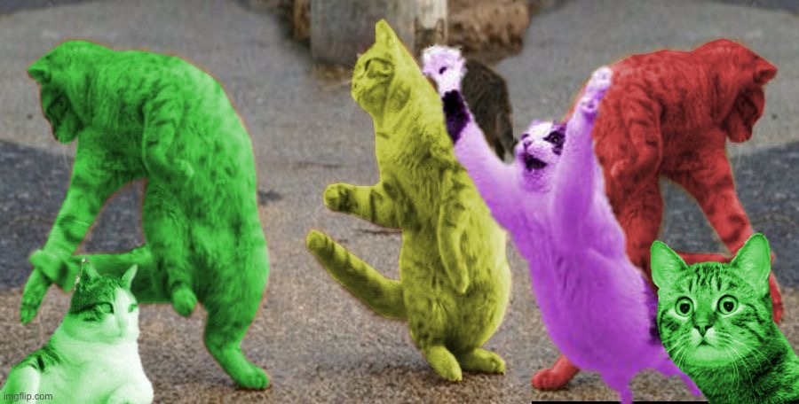 Les RayCats | image tagged in three dancing raycats,memes | made w/ Imgflip meme maker