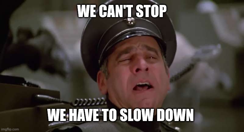 WE CAN'T STOP WE HAVE TO SLOW DOWN | image tagged in we can't stop | made w/ Imgflip meme maker
