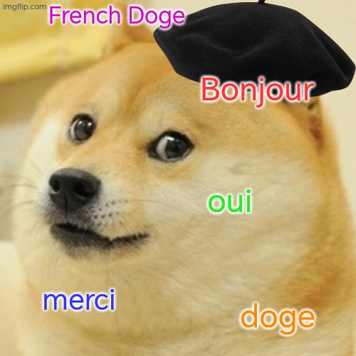 Doge | French Doge; Bonjour; oui; merci; doge | image tagged in memes,doge | made w/ Imgflip meme maker
