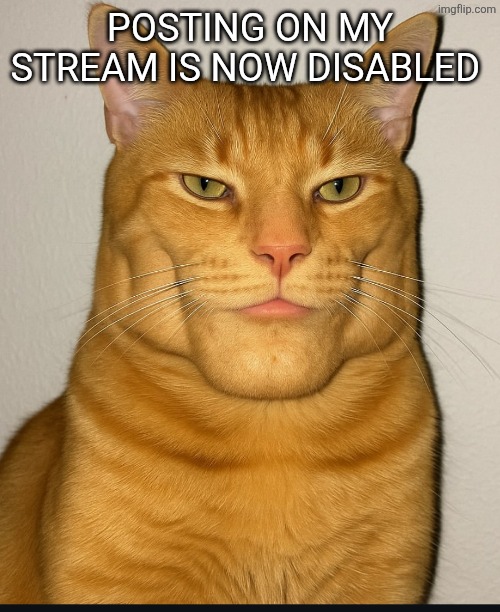 Dih | POSTING ON MY STREAM IS NOW DISABLED | image tagged in dih | made w/ Imgflip meme maker