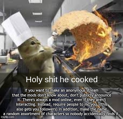 Holy shit he cooked | If you want to make an anonymous stream that the mods don't know about, don't publicly announce it. There's always a mod online, even if they aren't interacting. Instead, require people to mc you. (this also gets you followers) In addition, make the name a random assortment of characters so nobody accidentally finds it. | image tagged in holy shit he cooked | made w/ Imgflip meme maker