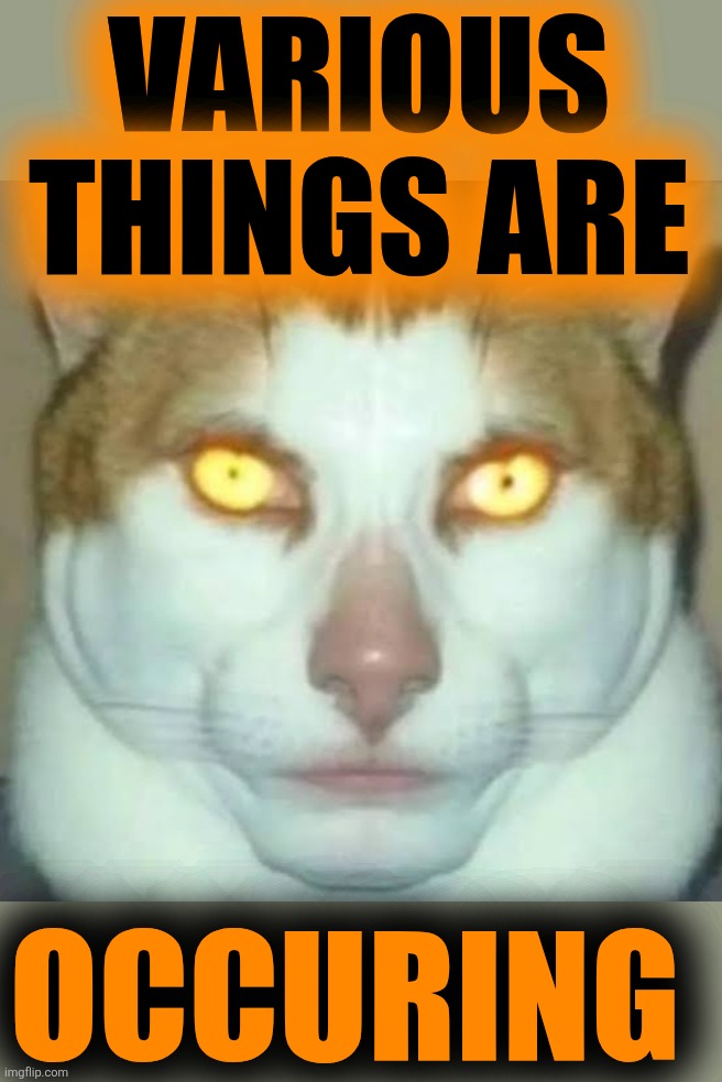 Sigma Cat | VARIOUS THINGS ARE OCCURING | image tagged in sigma cat | made w/ Imgflip meme maker
