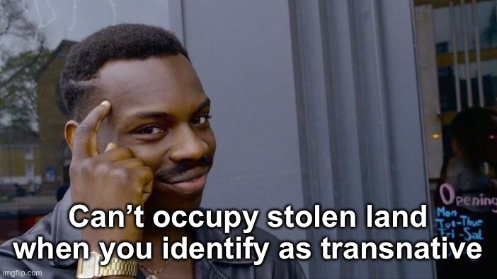 Race is a social construct. Don’t hate on the race fluid. | Can’t occupy stolen land when you identify as transnative | image tagged in memes,roll safe think about it,politics lol,derp | made w/ Imgflip meme maker