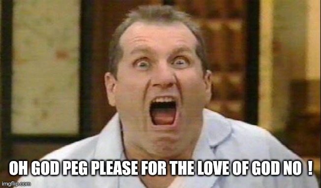 Al Bundy | OH GOD PEG PLEASE FOR THE LOVE OF GOD NO  ! | image tagged in al bundy | made w/ Imgflip meme maker