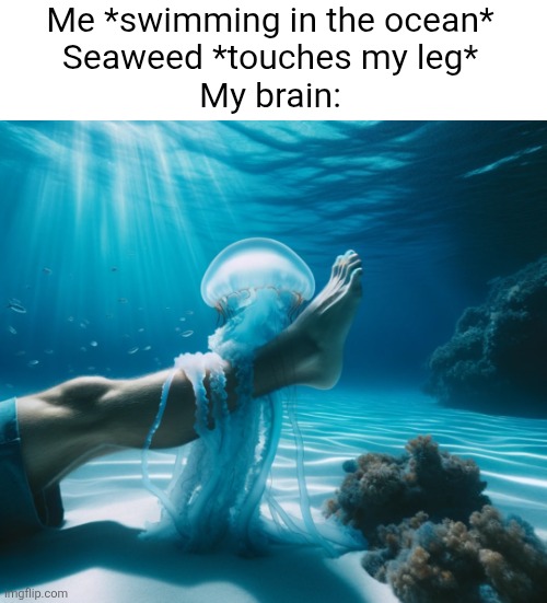 Or it could be long, slippery octopus tentacles wrapping around your leg | Me *swimming in the ocean*
Seaweed *touches my leg*
My brain: | image tagged in relatable,jellyfish,scary,ocean,swimming,brain | made w/ Imgflip meme maker