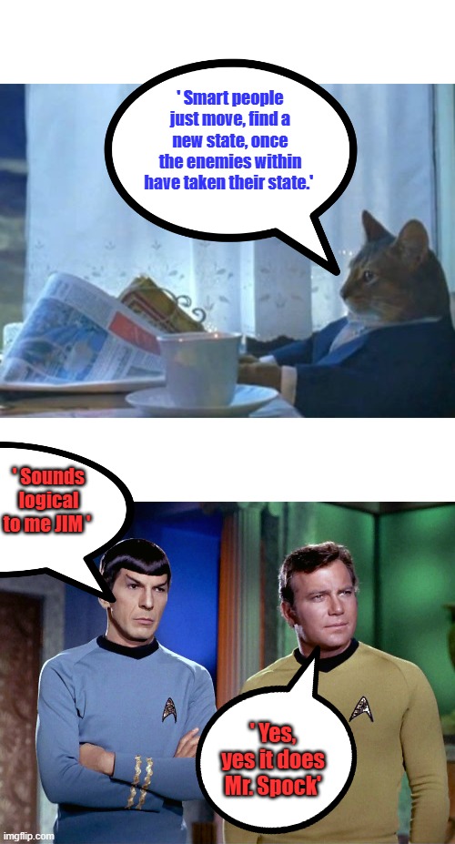 It's called voting with their feet. Texas should become its own country again. .Cal NY Oregon MINN Destroyed | ' Smart people just move, find a new state, once the enemies within have taken their state.'; ' Sounds logical to me JIM '; ' Yes, yes it does Mr. Spock' | image tagged in memes,i should buy a boat cat | made w/ Imgflip meme maker