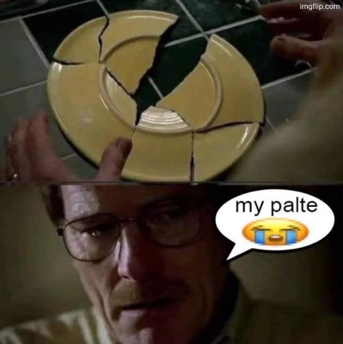 My palte | image tagged in my palte | made w/ Imgflip meme maker