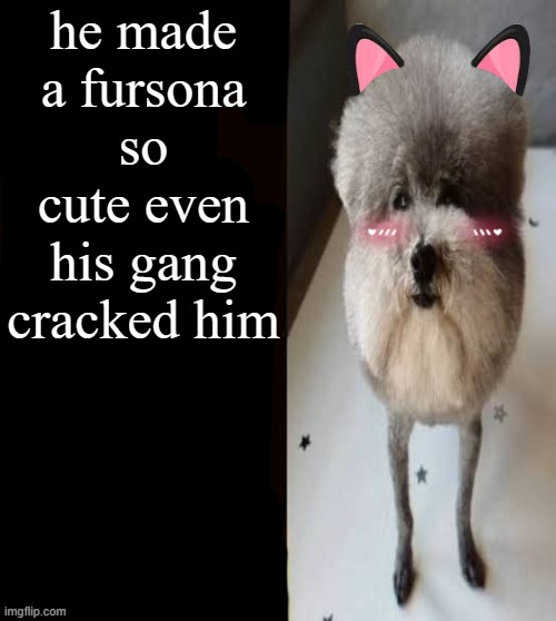 furry | he made a fursona so cute even his gang cracked him | image tagged in he made a statement blank | made w/ Imgflip meme maker