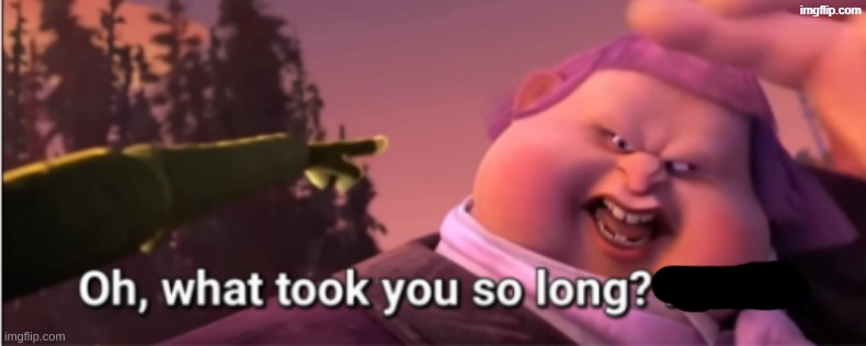 Oh, what took you so long? Idiot! | image tagged in oh what took you so long idiot | made w/ Imgflip meme maker