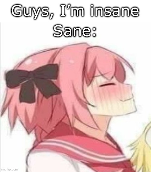 Pleased Astolfo | Sane:; Guys, I’m insane | image tagged in pleased astolfo,msmg | made w/ Imgflip meme maker