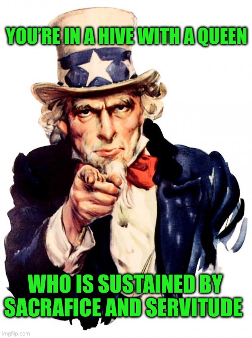 Uncle Sam Meme | YOU’RE IN A HIVE WITH A QUEEN; WHO IS SUSTAINED BY SACRAFICE AND SERVITUDE | image tagged in memes,uncle sam | made w/ Imgflip meme maker