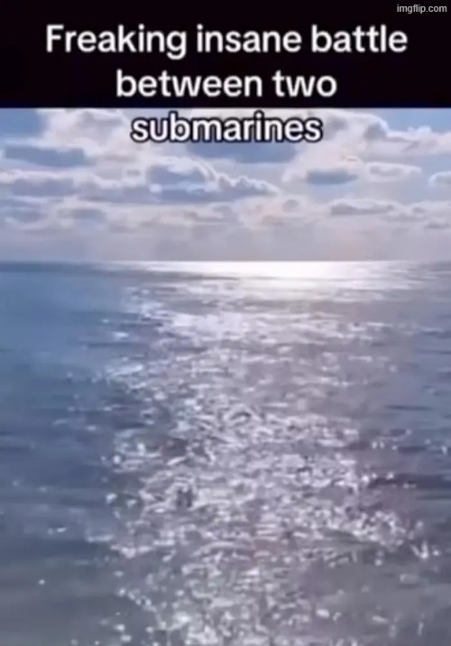 submarines | image tagged in what | made w/ Imgflip meme maker