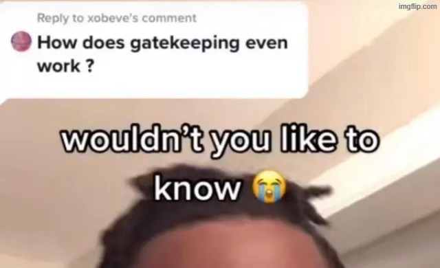 gatekeeping | image tagged in what | made w/ Imgflip meme maker