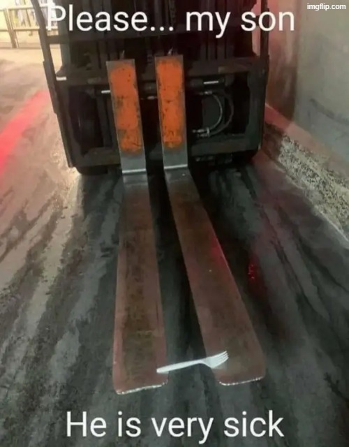 son | image tagged in what | made w/ Imgflip meme maker