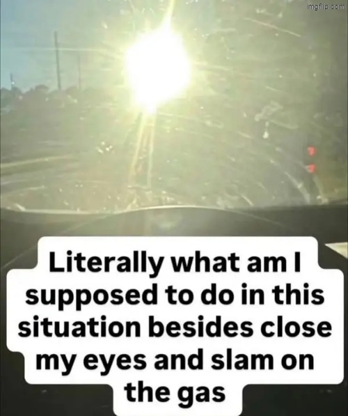 situation | image tagged in what | made w/ Imgflip meme maker