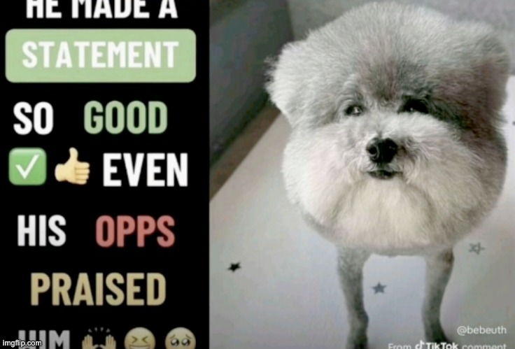 image tagged in he made a statement so good even his opps praised him | made w/ Imgflip meme maker