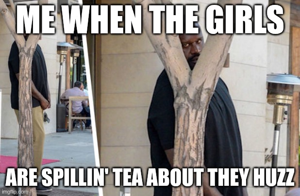 Shaq hiding | ME WHEN THE GIRLS; ARE SPILLIN' TEA ABOUT THEY HUZZ | image tagged in shaq hiding | made w/ Imgflip meme maker