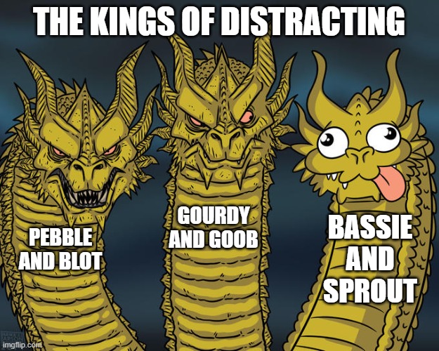 distracting as bassie should be illegal | THE KINGS OF DISTRACTING; GOURDY AND GOOB; BASSIE AND SPROUT; PEBBLE AND BLOT | image tagged in three-headed dragon | made w/ Imgflip meme maker