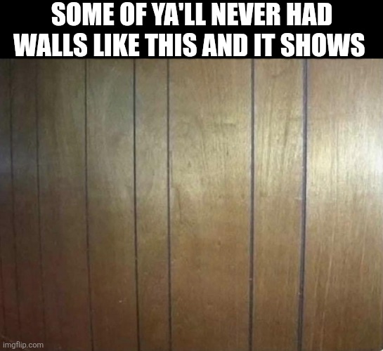 Some Of Ya'll Never Had Walls Like This | SOME OF YA'LL NEVER HAD WALLS LIKE THIS AND IT SHOWS | image tagged in chrisjoines1 | made w/ Imgflip meme maker