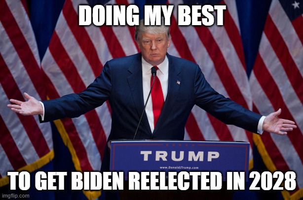 Donald Trump | DOING MY BEST TO GET BIDEN REELECTED IN 2028 | image tagged in donald trump | made w/ Imgflip meme maker