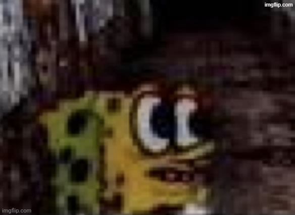 i hope my boyfriend didn't die in a windstorm | made w/ Imgflip meme maker