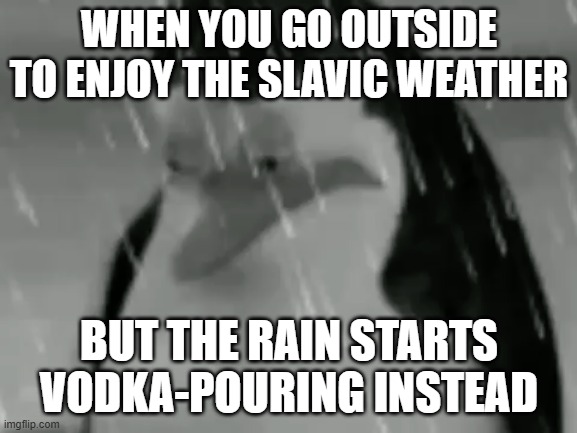 Sadge | WHEN YOU GO OUTSIDE TO ENJOY THE SLAVIC WEATHER; BUT THE RAIN STARTS VODKA-POURING INSTEAD | image tagged in sadge,slavic rain | made w/ Imgflip meme maker