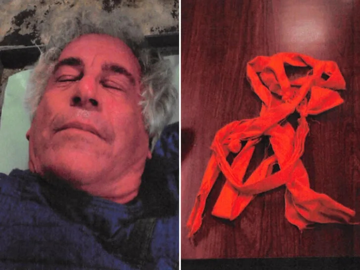 Epstein suicide Blank Meme Template