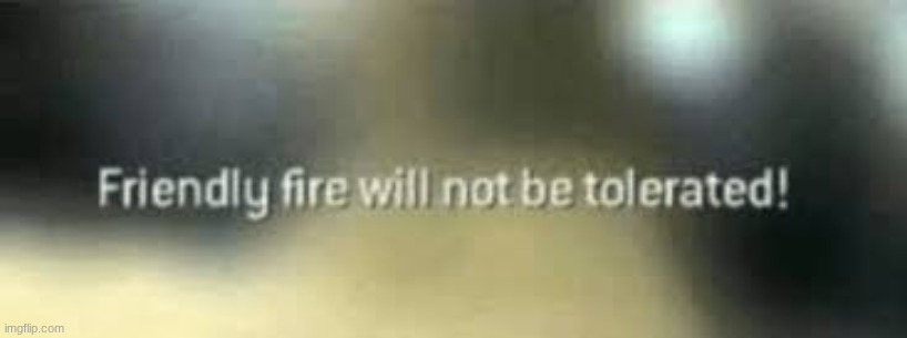 friendly fire will not be tolerated | image tagged in friendly fire will not be tolerated | made w/ Imgflip meme maker