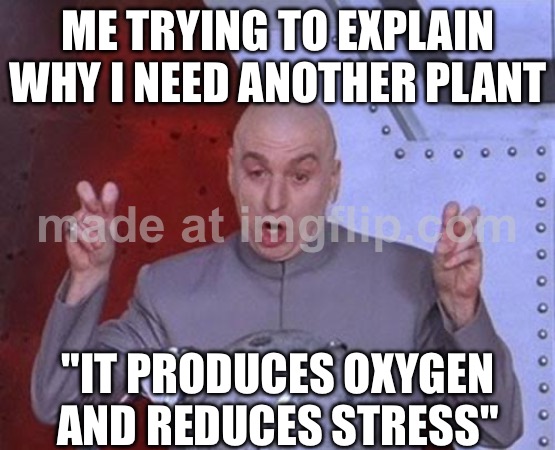 ME TRYING TO EXPLAIN WHY I NEED ANOTHER PLANT; "IT PRODUCES OXYGEN AND REDUCES STRESS" | ME TRYING TO EXPLAIN WHY I NEED ANOTHER PLANT; "IT PRODUCES OXYGEN AND REDUCES STRESS" | image tagged in memes,dr evil laser,stress,oxygen,carbon,plants | made w/ Imgflip meme maker