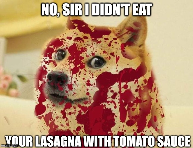 Bloody doge | NO, SIR I DIDN'T EAT; YOUR LASAGNA WITH TOMATO SAUCE | image tagged in bloody doge | made w/ Imgflip meme maker
