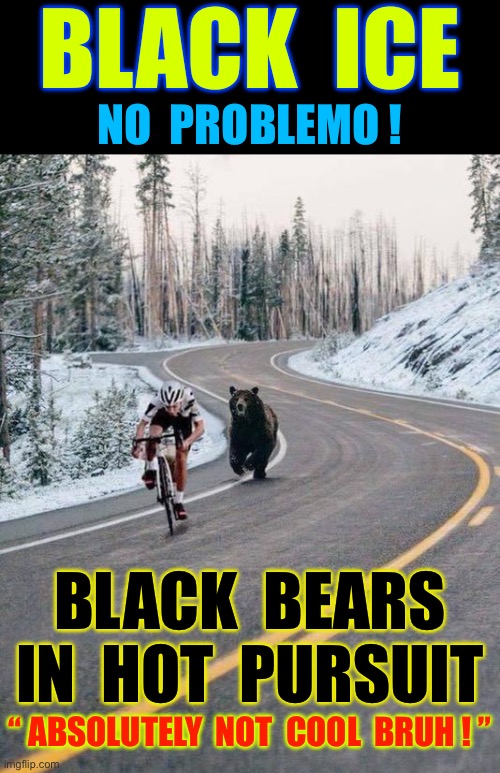 HOT PURSUIT !!!  : ) | BLACK  ICE; NO  PROBLEMO ! BLACK  BEARS
 IN  HOT  PURSUIT; “ ABSOLUTELY  NOT  COOL  BRUH ! ” | image tagged in meals on wheels | made w/ Imgflip meme maker