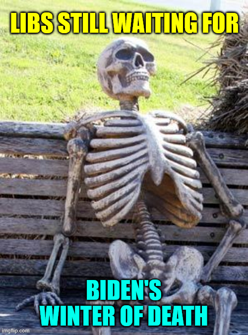 Waiting Skeleton Meme | LIBS STILL WAITING FOR BIDEN'S WINTER OF DEATH | image tagged in memes,waiting skeleton | made w/ Imgflip meme maker