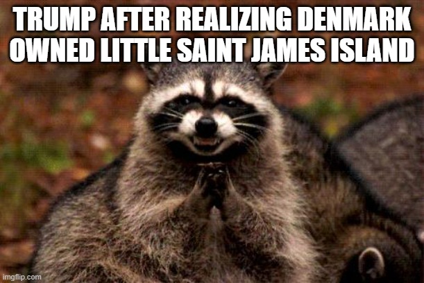 No wonder he wants Greenland! | TRUMP AFTER REALIZING DENMARK OWNED LITTLE SAINT JAMES ISLAND | image tagged in memes,evil plotting raccoon | made w/ Imgflip meme maker