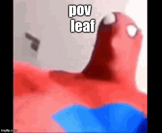 leaf; pov | made w/ Imgflip meme maker